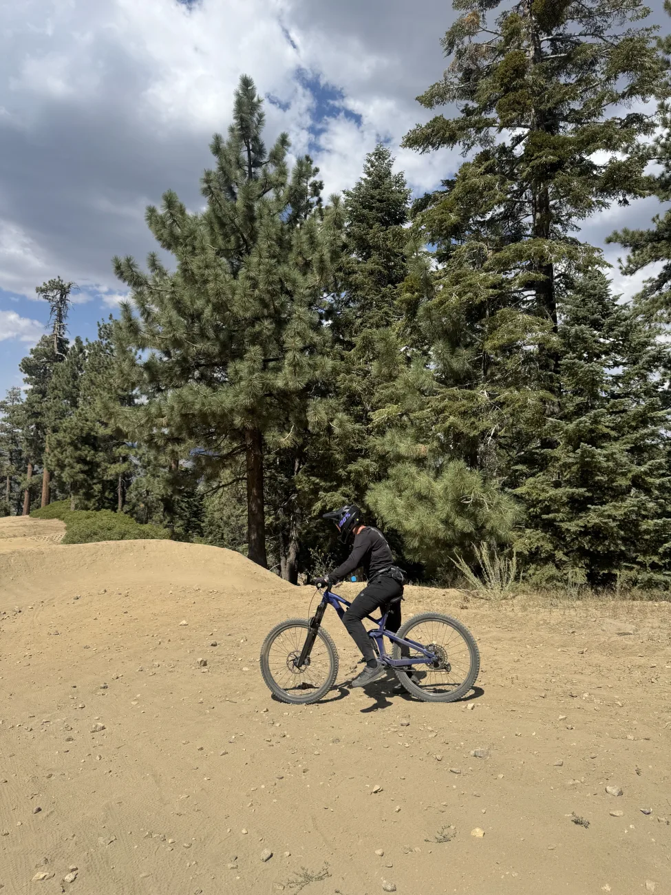 Riding a mountain bike trail through the pines